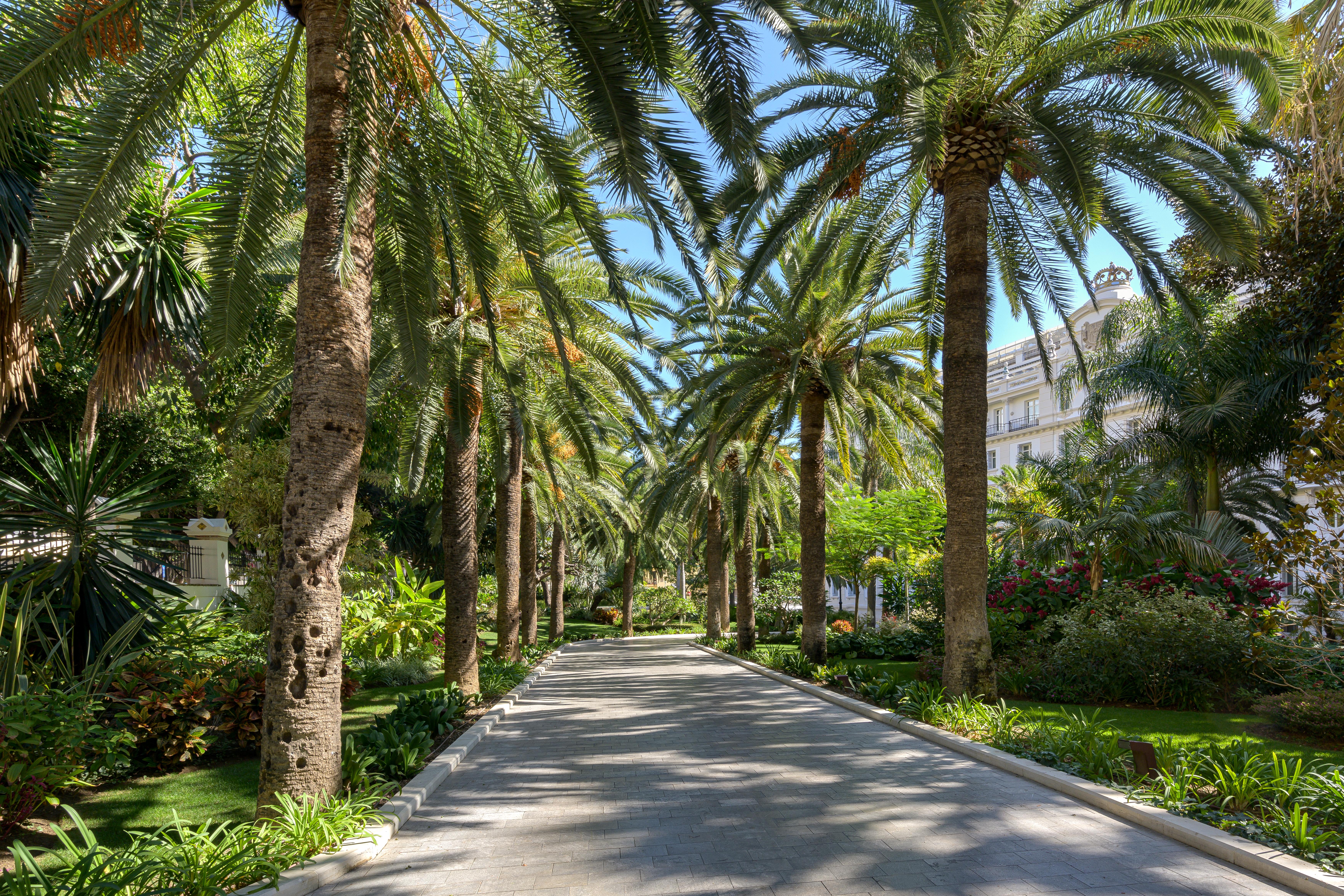 米拉玛大酒店 马拉加 外观 照片 Avenue of the Palms